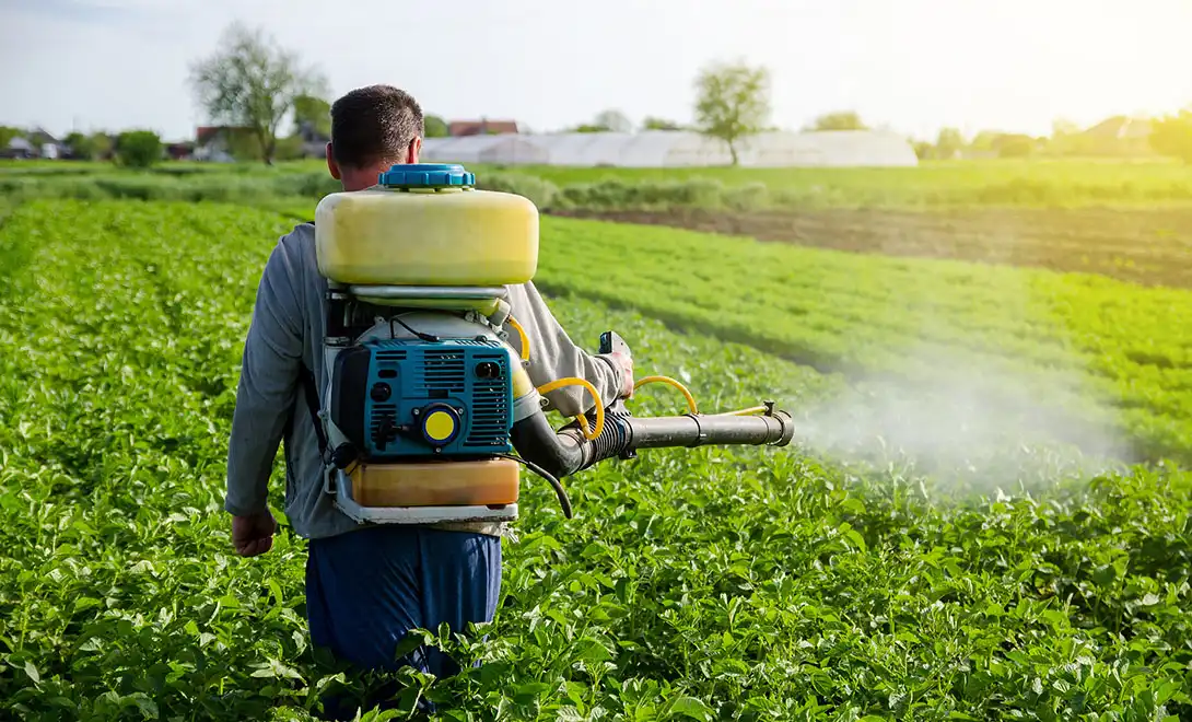 How to Use Amino Acid Peptide Foliar Spray Effectively